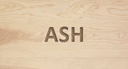Solid Ash